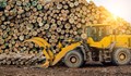 Ценови рекорд при цената на строителната дървесина