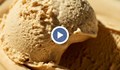 Германец създаде сладолед с вкус на щурци