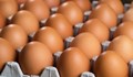 Яйцата в България са сред най-евтините в ЕС