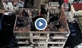 След пожар в Чепеларе 16 души остават без дом