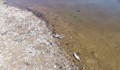 Проверяват сигнал за мъртва риба в микроязовир в Старозагорско