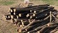 Откриха незаконна дървесина в два имота в Сливо поле