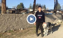 Куче спаси 12-годишния си стопанин от руините в Турция