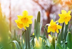 Преди това обаче ще трябва да преживеем студа и валежите