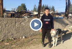 Грижа се за Алекс откакто беше малко кутре В деня