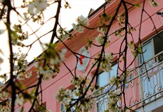 Целта на поръчката е създаване и оборудване на изолирани помещения