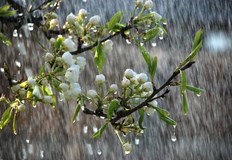 Очакват ни слънце и жеги до минусови градуси дъжд и