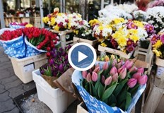 Вижте каква е сметката за цветя подаръци и почерпка в