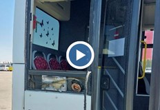 Превозното средство на градския транспорт се е движило по оживен