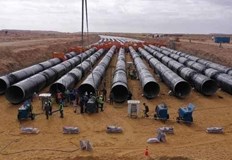 Съоръжението се намира в Западната пустиня и цели да култивира