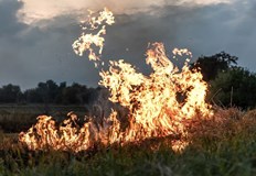 Това е втори пожар в района на село Бабово за