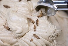 Сладкарското изделие е с топинг от сушени кафяви шурциГермански салон