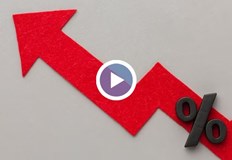 На пазара в Долни Богров цените са двойно по ниски защото