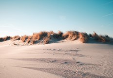 Детето е останало под пясъка около пет минути6 годишно момиченце е