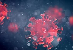 Няма починали с потвърдена коронавирусна инфекцияВ Русенско само двама души