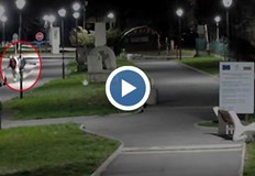 Извършителите са установени по записи от видеокамериВандали посегнаха на общинско