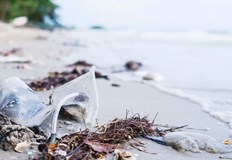 Пластмасата убива рибите и морските обитатели Отнема стотици години за