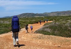 През февруари анулациите са били 80 а през март