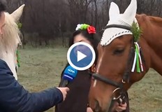 На Паметника на свободата ездачите ще поднесат венецЕздачи решиха да