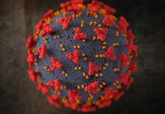 Делът на положителните резултати в страната е 4 28 процентаВ Русенско