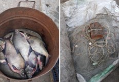 Уредите са извадени и иззети за унищожаване а рибата е