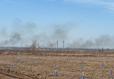 Пожарът е запален по време на брачния период и гнезденето
