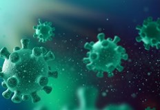 Делът на положителните резултати в страната е 4 97 процентаВ Русенско