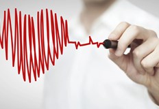 Човешкото сърце е прецизно настроен инструмент който обслужва цялото тялоТо