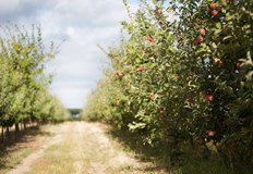 Срокът за кандидатстване е до 17 март в областните дирекции