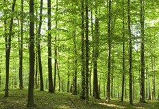 В обхвата на областите Габрово Велико Търново Русе Силистра и