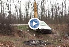 Трафикът на мигранти вече оставя отпечатък и в дивата природаЗемлищата