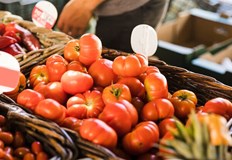 Производителите се надяват най лошото време за тях да е отминалоПроизводители