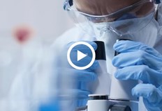 Организацията отрече да е спирала разследванетоСветовната здравна организация все още