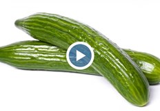 Зеленчуците са отглеждани с класическа музикаНа места в страната краставиците