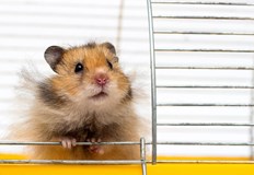 По време изслушването в съда е установено че жената е