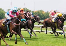 Детето се е оплакало от болки в крачето и гърдитеКон