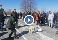 В знак на протест по средата на платното те изкараха