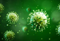 Положителни са 3 6 от пробите в странатаВ Русенско новите случаи