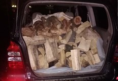 РДГ София са съставили 100 акта за нарушения по Закона