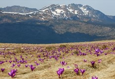 В Русе ще преобладава слънчево време с максимална температура 11