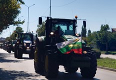 Производителите на малини и ягоди ще излязат на активен протест