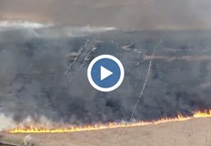 Цонка Христова директор РИОСВ – Русе уточни че най вероятно пожарите