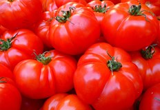 Тази година ситуацията с домати българско производство е още по тежкаТурция