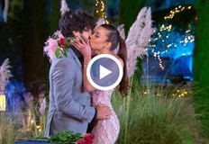 Виждаш ли какво става всички котки стават кучки коментира