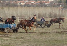 Конският Великден бе почетен по подобаващ начин Организираха кушии за