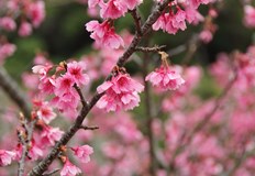 Топлото време тази седмица ще продължи и се дължи на