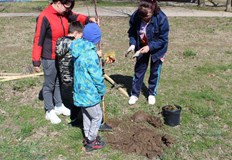 Днес русенци посадиха дръвчета в квартал Дружба 1 Първата от двете