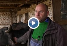 Пасища няма колегите изнемогват коментира Методи ЛаковВ монтанското село Владимирово