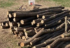 Дървеният материал е стопанисван от мъже на 52 и 43