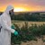 11 тона забранени пестициди са иззети в България